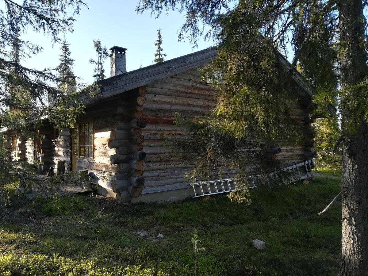 Logwood Chalet Luosto Exterior foto